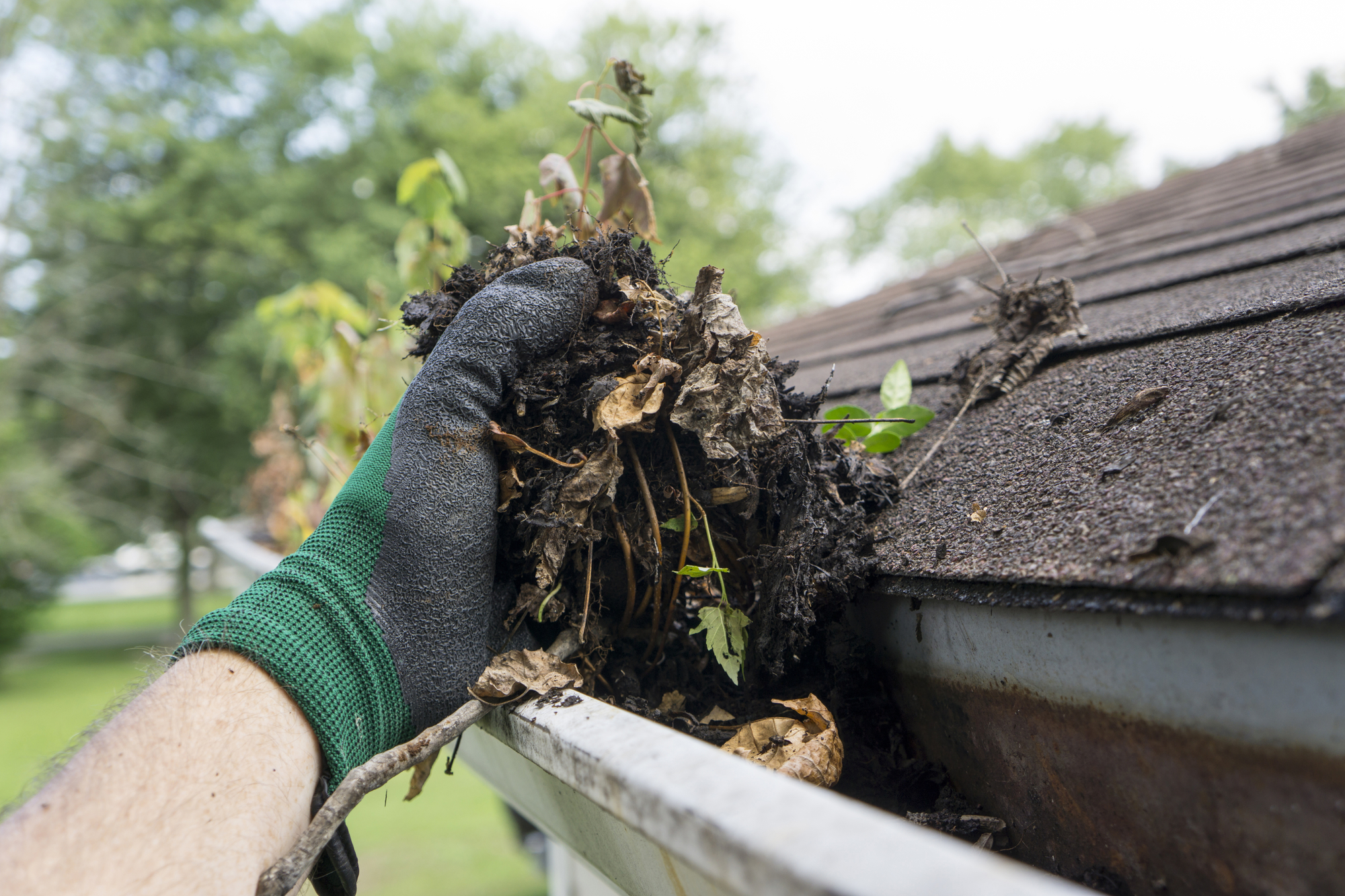 gutter cleaning for carvans in hastings